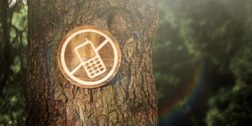 Digitálny detox v prírode: Ako si oddýchnuť od technológií a nabrať novú energiu v drevenej chatke 10