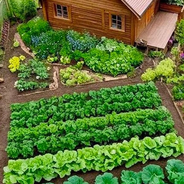 záhradný domček + záhradka